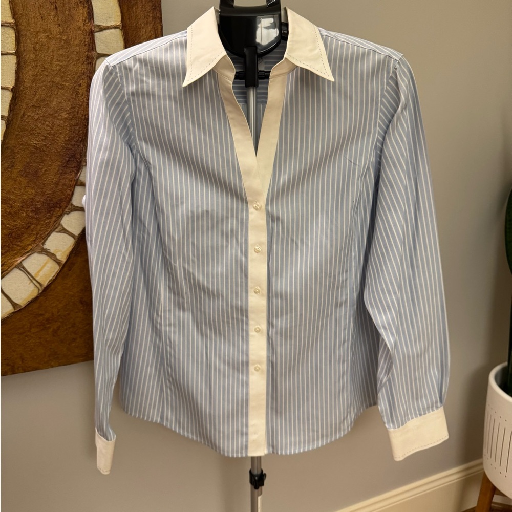 Brooks Brothers Blue and White Striped Shirt